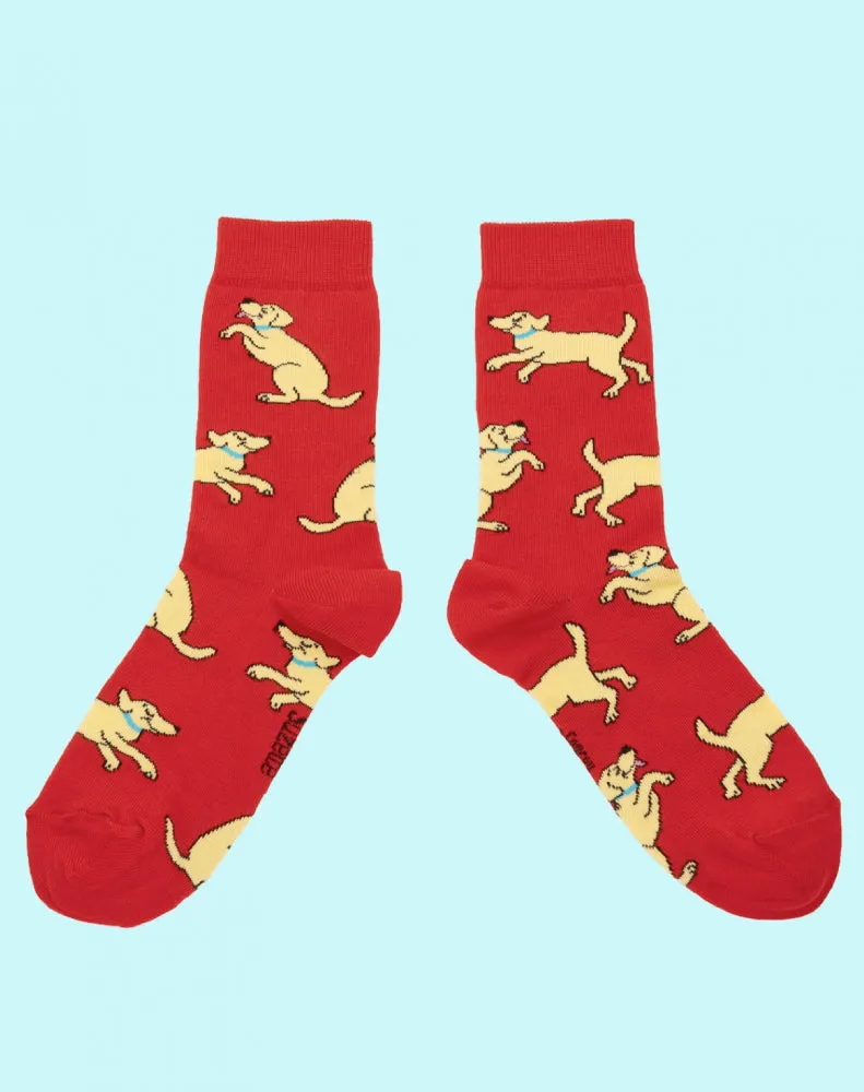 LABRADOR SOCKS